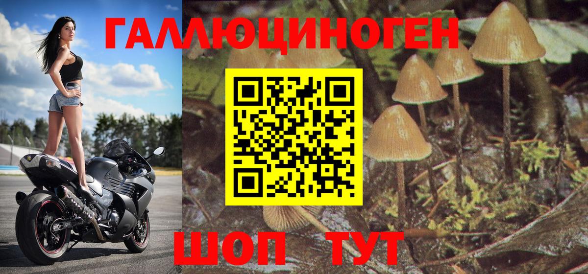 Галлюциногенные грибы мицелий Муром