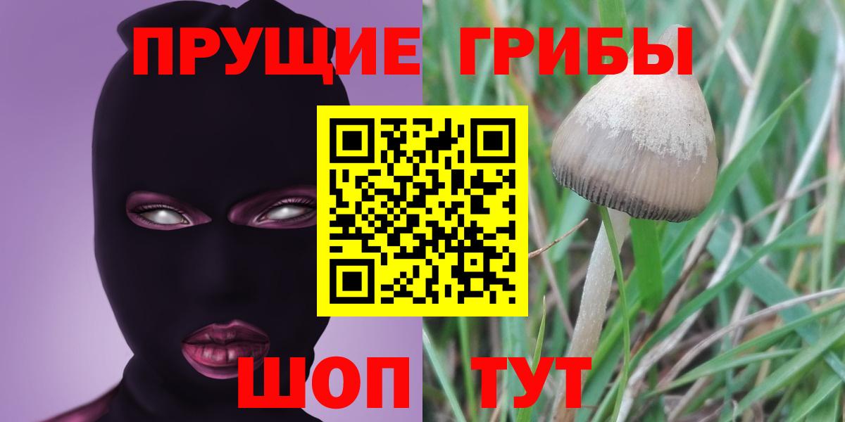 Муром  Псилоцибиновые грибы Cubensis  Вход с VPN 